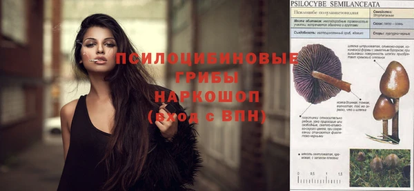 мяу мяу мука Белоозёрский