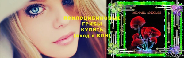 мяу мяу мука Белоозёрский