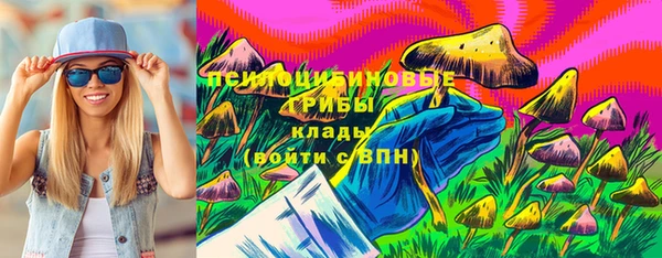спайс Беломорск