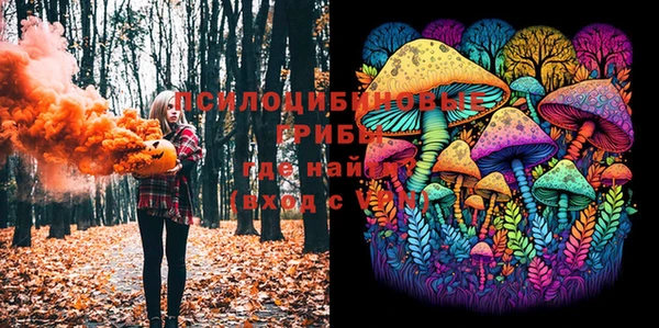 спайс Беломорск