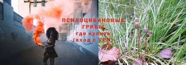 гидра Сясьстрой