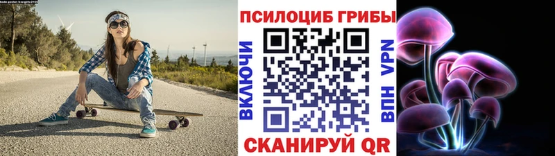 Псилоцибиновые грибы Psilocybine cubensis даркнет наркотические препараты Дальнегорск