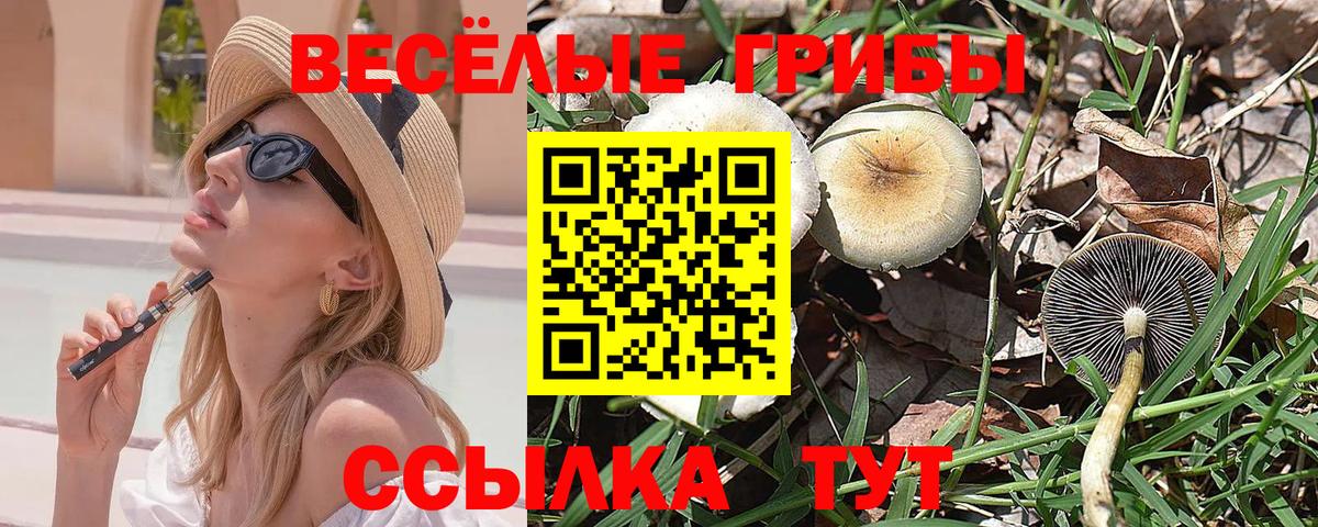Галлюциногенные грибы MAGIC MUSHROOMS  Галлюциногенные грибы ЛСД  Вход с VPN  Дальнегорск 